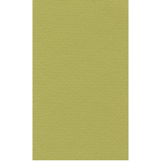 Бумага для пастели "Lana" Lana Colours цв. фисташковый 160 г/м² 21х29 7 см 