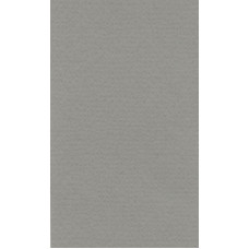 Бумага для пастели "Lana" Lana Colours цв. холодный серый 160 г/м² 21х29 7 см 