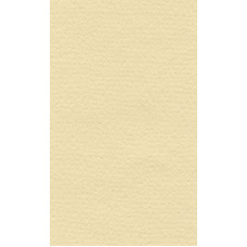 Бумага для пастели "Lana" Lana Colours цв. кремовый 160 г/м² 21х29 7 см 
