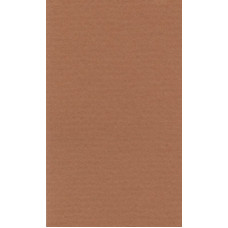 Бумага для пастели "Lana" Lana Colours цв. охра 160 г/м² 21х29 7 см 