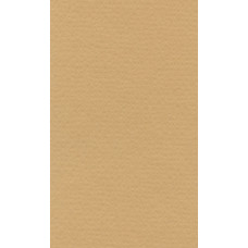 Бумага для пастели "Lana" Lana Colours цв. песочный 160 г/м² 42х29 7 см 