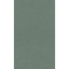 Бумага для пастели "Lana" Lana Colours цв. полынь 160 г/м² 21х29 7 см 
