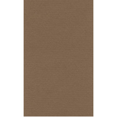 Бумага для пастели "Lana" Lana Colours цв. сиена 160 г/м² 21х29 7 см 