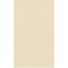 Бумага для пастели "Lana" Lana Colours цв. слоновая кость 160 г/м² 42х29 7 см 