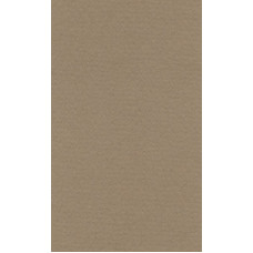 Бумага для пастели "Lana" Lana Colours цв. светло-коричневый 160 г/м² 42х29 7 см 