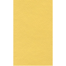 Бумага для пастели "Lana" Lana Colours цв. светло-желтый 160 г/м² 42х29 7 см 