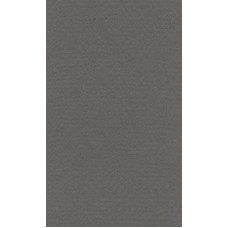 Бумага для пастели "Lana" Lana Colours цв. темно-серый 160 г/м² 21х29 7 см 