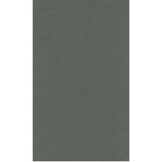 Бумага для пастели "Lana" Lana Colours цв. виридоновый зеленый 160 г/м² 50х65 см 