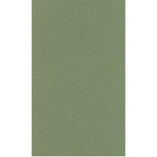 Бумага для пастели "Lana" Lana Colours цв. зеленый сок 160 г/м² 42х29 7 см 