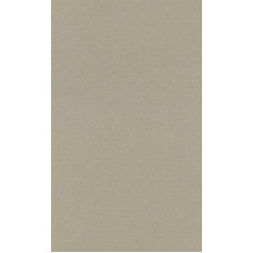 Бумага для пастели "Lana" Lana Colours цв. жемчужный 160 г/м² 50х65 см 